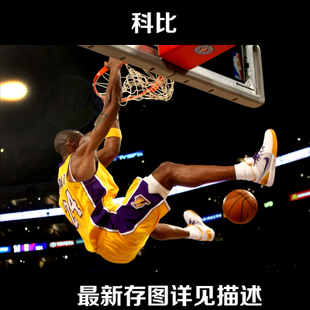 BoheckerCollege传媒毕业证